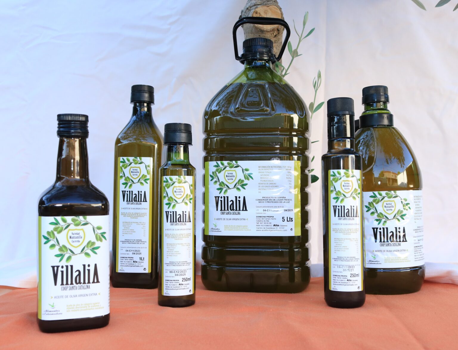 Villalia