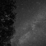 Starlight2